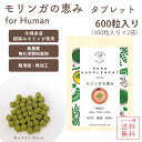メール便送料無料【 モリンガの恵み/for Human タブレット600粒 】国産 無添加 無農薬 モリンガ 子供 大人 男性 女性 サプリメント 免疫力 鉄 ...