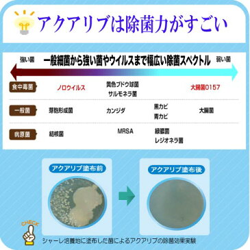 ■アクアリブ(400ppm)原液4リットル＋スプレー 除菌スプレー 感染症 除菌 次亜塩素酸水 消臭 トイレ 玄関 ペット 赤ちゃん 手足口病 インフルエンザ ノロウイルス 食中毒 加湿器 噴霧器 送料無料 清掃 除菌スプレー