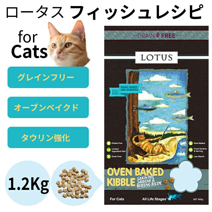 樂天商城 - ロータス キャット グレインフリー フィッシュレシピ 1.2kg【賞味期限：2026年12月18日】 キャットフード 全年齢対応 総合栄養食 タウリン強化 オーブンベイクド 低温製法 ヒューマングレード EPA DHA キレートミネラル イワシ ニシン