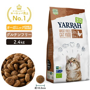 美味しいキャットフード！オーガニックや国産など人気の猫用ご飯のおすすめを教えて！