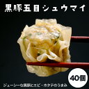 南国熊曽 五目 シュウマイ 40個入 1.2kg 30g 10個 4袋 黒豚 エビ ホタテ の旨味 肉汁 ジューシー 鹿児島県産 黒豚 使用 簡単調理 蒸してより美味しい 惣菜 中華 点心 お取り寄せ 父の日 グルメ…