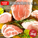 鹿児島 天恵美豚 ガツ盛り BBQ ブロック 塊肉 セット 3kg 真空パック入り（ バラ：500g ロース：500g 肩ロース：500g モモ:1kg ウデ：500g） キャンプ BBQ バーベキュー アウトドア 塊肉 ギフト プレゼント 父の日