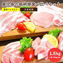 鹿児島銘柄豚 いろんな部位食べ比べセット1.5k 真空パック入り（ バラ：しゃぶしゃぶ用 250g ロース：しょうが焼き用 250g 肩ロース：焼き肉用 250g モモ切り落とし:250gx2 ウデ肉切り落とし：250g）天恵美豚