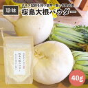 【送料無料】桜島大根 パウダー 40g 鹿児島県産 大根おろし 粉末 トリゴネリン かわいち国分