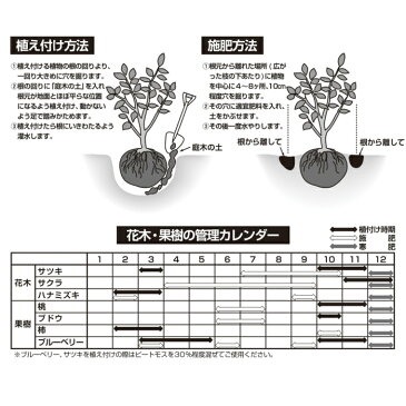 果樹・花木・庭木の土50L25L×2袋セット培養土・用土