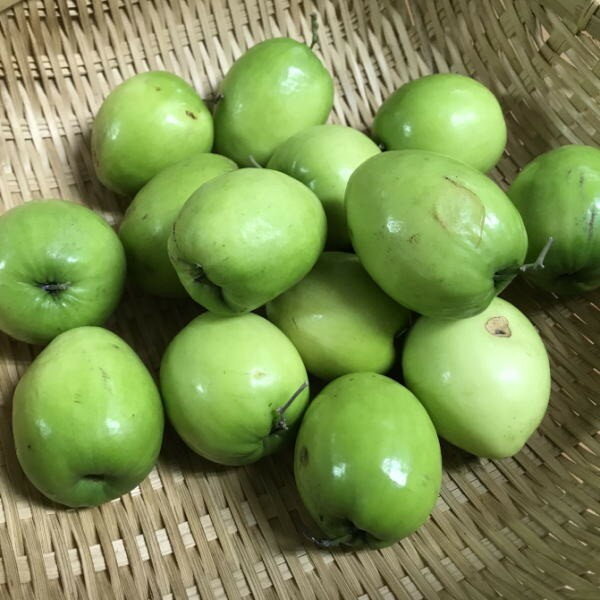 木材 菓子 生薬 薬膳 茶 惚れ惚れするぜ ナツメ Let S Green Life