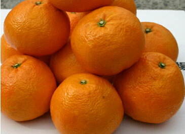 伊予柑 広島県産 有機肥料栽培 薬使わずオゾン殺菌 樹上完熟! 瀬戸田の いよかん 約5kg(約20〜26個)※ご家庭用です【発送時期:2月上旬頃〜3月上旬頃】