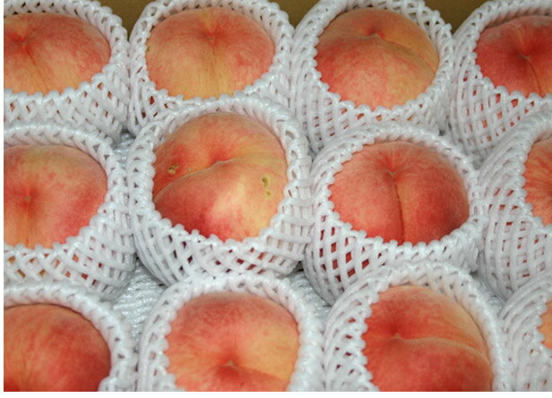低農薬 有機肥料栽培の桃 長野県 夜間瀬の家庭用もも・黄金桃