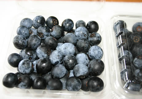 農薬不使用 奈良県 西吉野のブルーベリー・ラビットアイ　約500g 完熟の甘さを届けます【発送時期：7月下旬頃〜8月上…