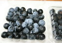 農薬不使用 奈良県 西吉野のブルーベリー・ラビットアイ 約1kg 完熟の甘さを届けます【発送時期：7月下旬頃〜8月上旬頃】 その1