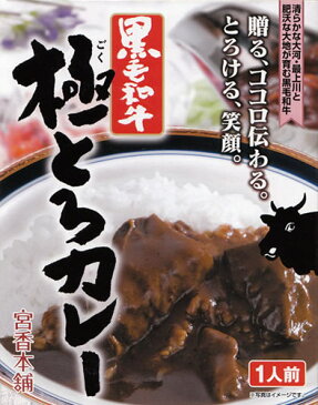 高級レトルトカレー・黒毛和牛 極とろカレー 200g 1個