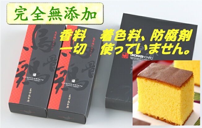 無添加 カステラ・ウコッケイの卵の かすていら 2本 忍者の里、甲賀の里で平飼、無農薬自家配合飼料、アルカリイオン水で育てる烏骨鶏 ギフト お歳暮 お返しに