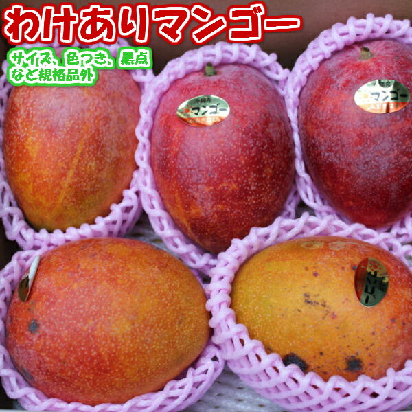 全国お取り寄せグルメ沖縄フルーツ・果物No.21