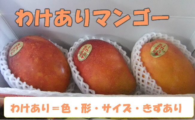 【ご予約受付中】沖縄産 わけあり マンゴー 約3kg （約4～8玉）※産地直送です。アップルマンゴー【ご贈答品には不向きです】【発送期間：7月上旬〜8月末頃】 2