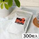千坂式 極陽精(ごくやんせい)・徳用(約330mg×300粒)【食健】【送料無料】