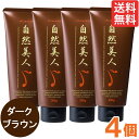 自然美人 ダークブラウン(200g)【4個セット】【アップワード】【送料無料】□