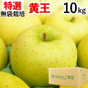 【特選】無袋栽培きおう 青森産りんご 中玉(約10kg)無化学肥料【桜庭りんご農園】【直送につき代引・同梱不可】【送料無料】