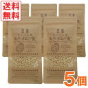 モンゴル産 天然松の実(100g)【5個セット】【日本三晶製薬】【送料無料】〇