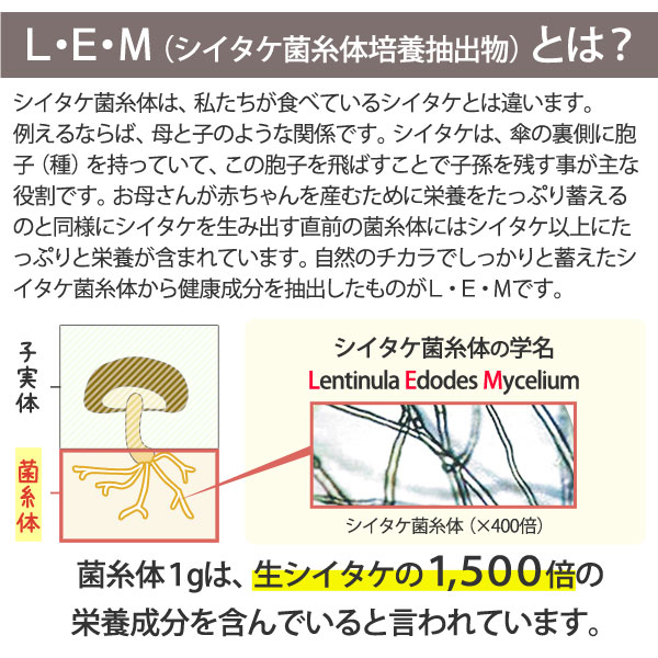 モンフェロン600 粒（27g（300mg×3粒×30袋））【オールグリーン】【送料無料】 3