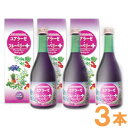 野草野菜果物発酵原液 ユアラーゼ・ブルーベリー+(500ml)【3本セット】【ミヤトウ野草研究所】【送料無料】
