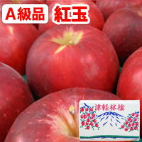 【2024年10月中旬より発送予定】【A級品】紅玉青森りんご（約4.5kg）【竹嶋有機農園】【直送につき代引・同梱不可】【送料込】□