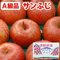 【2020年度産】【送料込】【A級品】サンふじ青森りんご(約10kg)【竹嶋有機農園】【メーカー直送につき代引・同梱・海外発送不可】