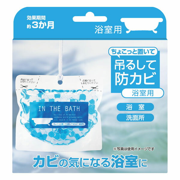 ちょこっと置いて吊るして防カビ浴室用（160g）【ビッグバイオ】