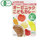 光食品 オーガニック こどもカレー(100g)レトルト【ヒカリ】