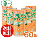 【お得なまとめ買い】光食品 有機みかんサイダー＋レモン（250ml×30本入）【2ケースセット】缶【ヒカリ】【送料無料】□