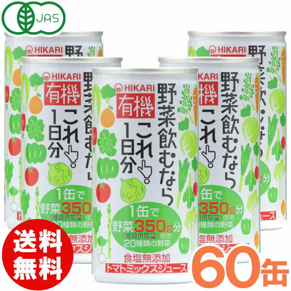 【お得なまとめ買い】【送料無料】有機野菜飲むならこれ！1日分（190g×30本）【2ケースセット】缶【ヒカリ】□