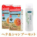 魅せる美髪セット(オーガニータ(サハラブラウン)2個と自然葉シャンプー1本)【グリーンノート】【送料無料】〇