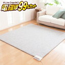 【送料無料】電磁波99%カット(磁界)電気ホットカーペット・本体のみ 2畳相当〔ZCB-20K〕【ゼンケン】
