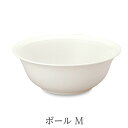 【予約8月20日頃より順次発送予定】森修焼 ボールM【森修焼】(3)