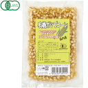 国産 有機ポップコーン(乾燥)(100g)【やさか共同農場】(4)