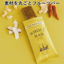 WHOLE BAR サウスインディアンカレー(40g)【NATURE THING】