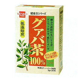 グァバ茶（TB）（3g×30包）【健康フ