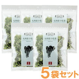 乾燥野菜 九州産小松菜（40g）【5袋セット】【吉良食品】