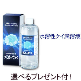 【選べるプレゼント付】水溶性珪素 水晶のちから（500ml）（umo濃縮溶液）【まるも】【いつでもポ ...