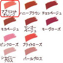 CACメンブレン リップ・レフィル アプリコットオレンジ【CAC化粧品】