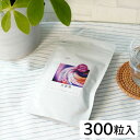 千坂式 太蔘陽(たいじんよう)(75g(250mg×300粒))【食健】【送料無料】