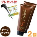 自然美人 ダークブラウン(200g)【2個セット】【アップワード】【EMシャンプーサンプル&ブラシセットプレゼント】【送料無料】
