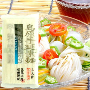 藤田の手延素麺 寒製美味（300g（50g×6束））【藤田製麺】