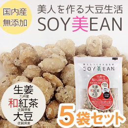 SOY美EAN（ソイビーン）生姜・和紅茶・大豆（72g）【5袋セット】【宮本邦製菓】