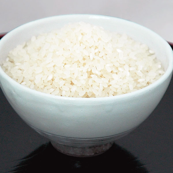 令和7年産 熊本県産 無農薬 ピロール米 白米 にこまる（3kg）【上村夢農園】