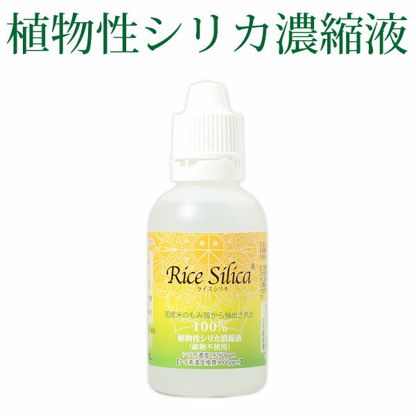 植物性シリカ濃縮液 ライスシリカ（50ml）【クレディ】□