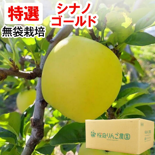 【特選】無袋栽培シナノゴールド 青森産りんご（約5kg）無化学肥料【桜庭りんご農園】【直送につき代引・同梱不可】【送料無料】