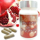 ウロリチンdeオートファジー(26.1g(1粒290mg(内容量230mg)×90粒))【日本三晶製薬】【送料無料】