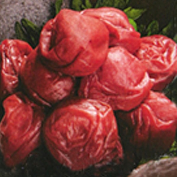 大分県産 美咲梅（みさきうめ）（110g）【森梅園・農園】 shizenkan-10038461 PURE・HEART自然館 サンプル画像2
