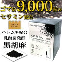 SODロイヤル ハトムギ配合 乳酸菌発酵 黒胡麻（3g×60包）【丹羽メディカル研究所】【送料無料】 2