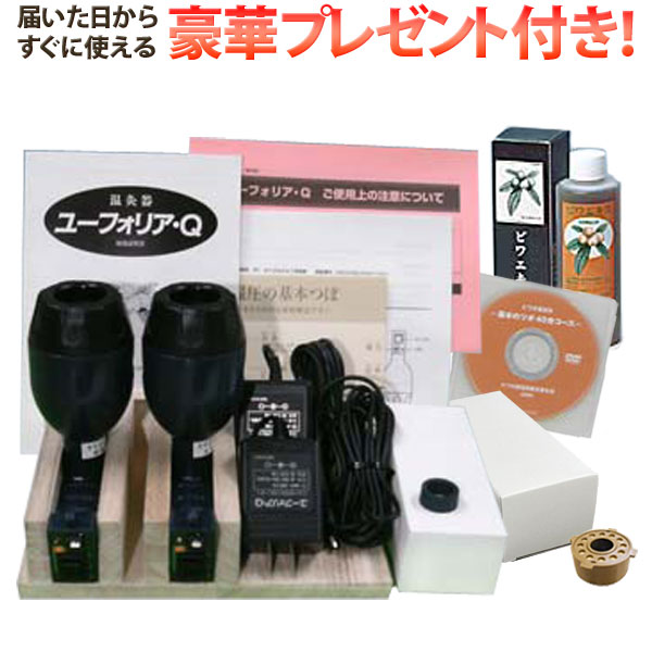 【未使用保管品】ユーフォリアQ 楽天市場】ユーフォリアqの通販